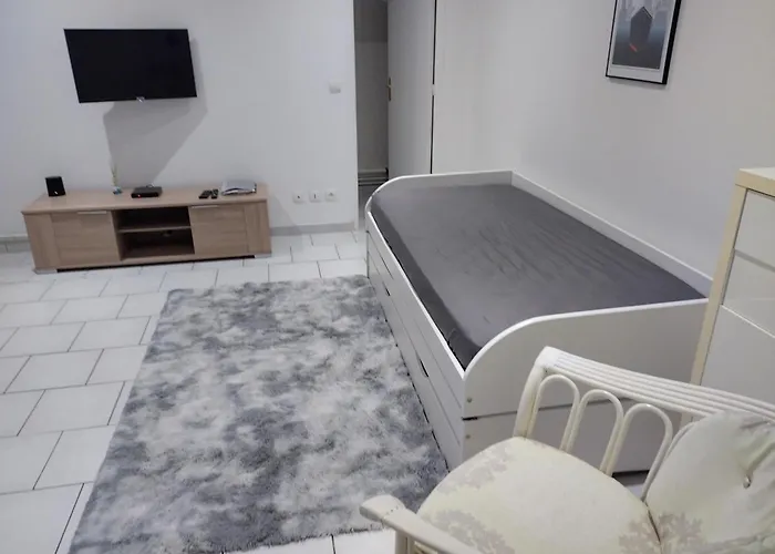Charmant Studio Canape Lit Netflix Prime Video Dazn Wifi